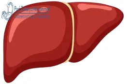 افضل دكتور لعلاج أمراض الكبد